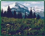 Whistler-Blackcomb